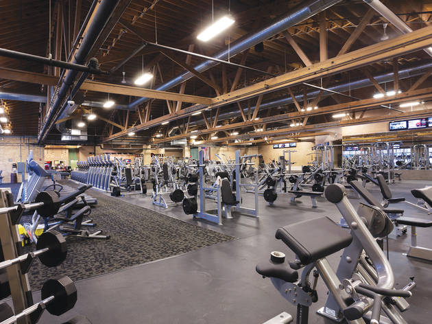 Xsport Fitness Elston