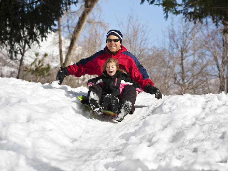 td.tock.057.thingstodo.sledding1.jpg