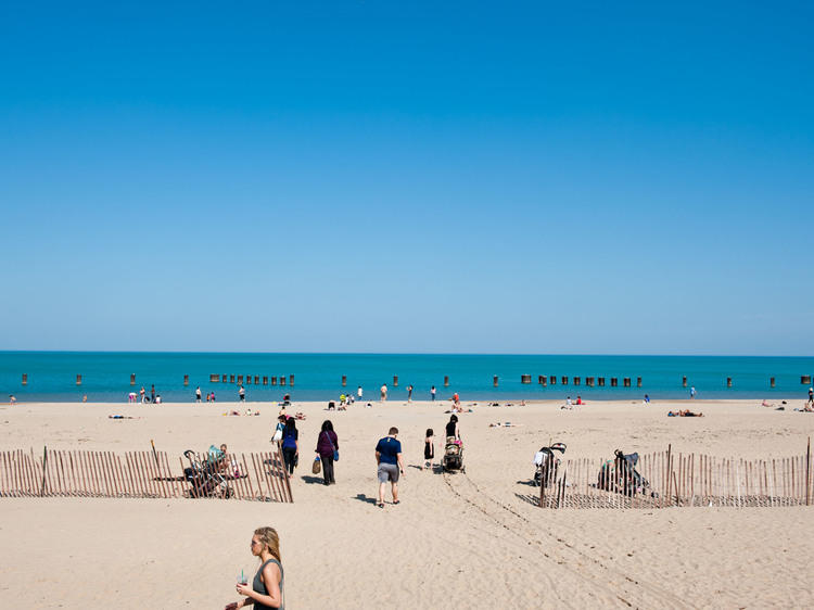 The shore comes alive at Chicago’s beaches