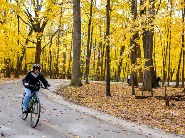 BlueStarMemorialForestPreserve.venue.jpg BlueStarMemorialForestPreserve.venue.jpg