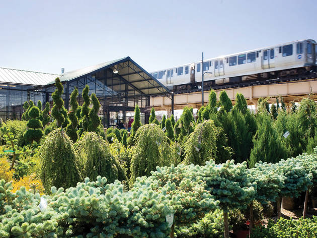 CityEscapeGardenCenterandDesignStudio.venue.jpg CityEscapeGardenCenterandDesignStudio.venue.jpg