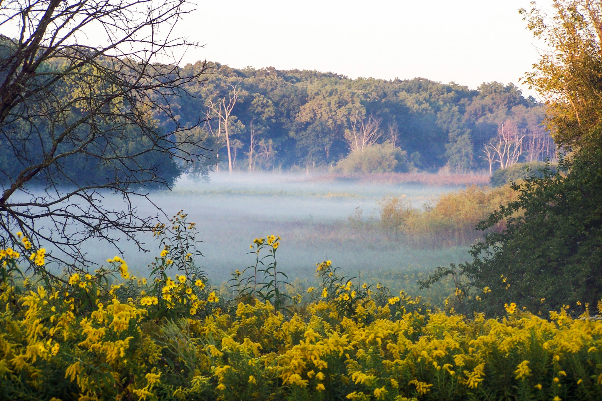 Waterfall Glen Forest Preserve | Things to do in Suburbs, Chicago