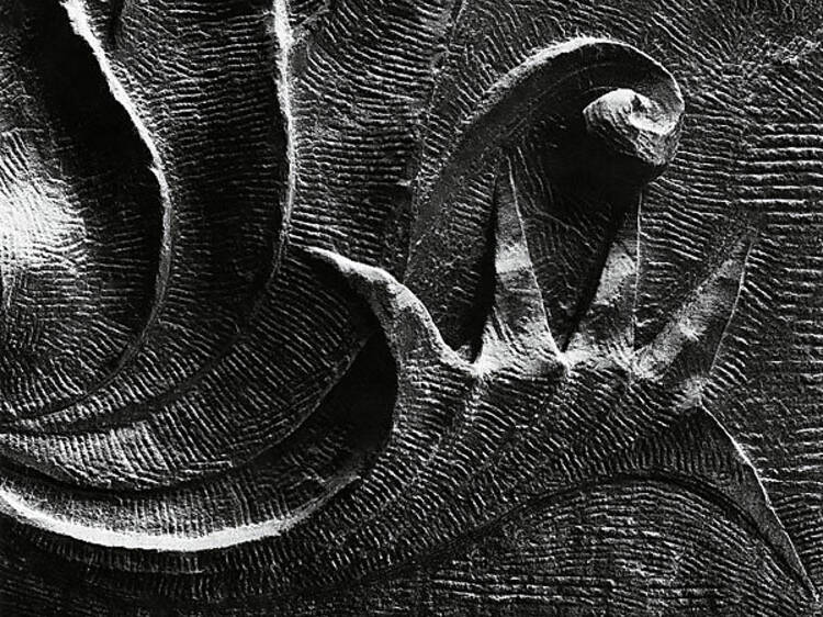 176.x600.around.rev2.Siskind.jpg