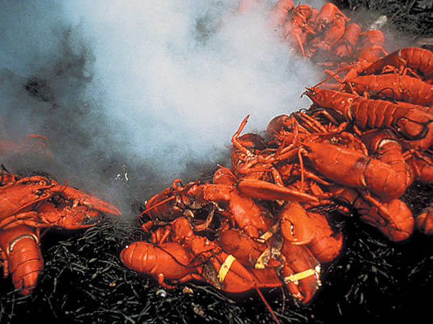 The best things to do in Portland, Maine The best things to do in Portland, Maine