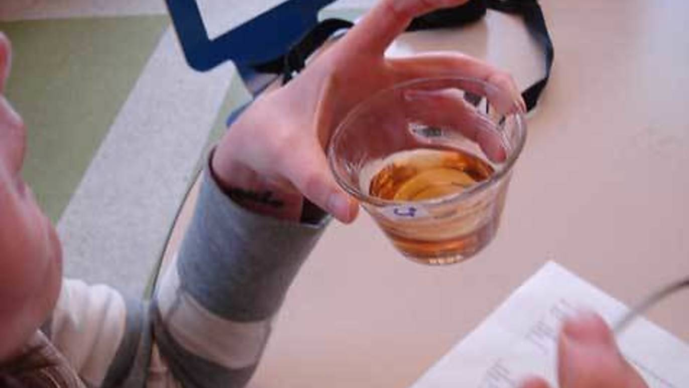 Maple syrup taste test