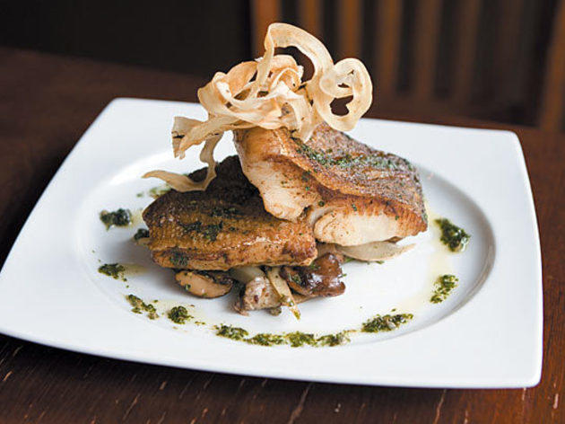 231.x600.eat.rev.brownTrout.jpg 231.x600.eat.rev.brownTrout.jpg