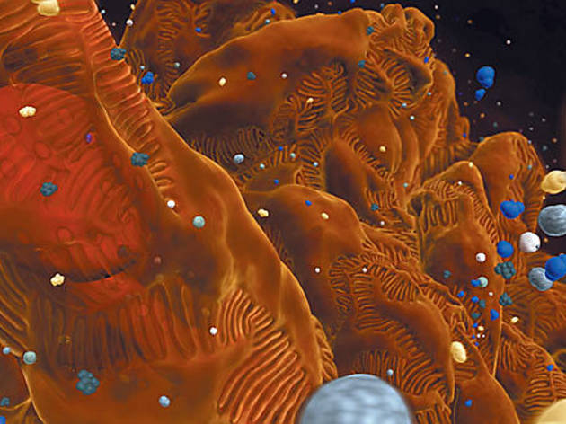 233.x600.art.medical.open2.jpg 233.x600.art.medical.open2.jpg