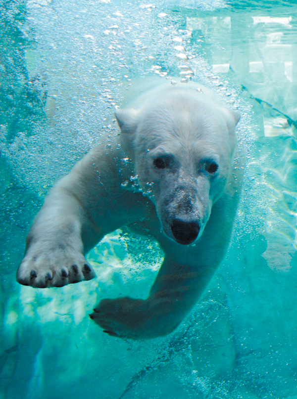 Brookfield Zoo