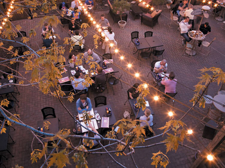 272.feat.alfresco.halsteds_creditBenReed.jpg