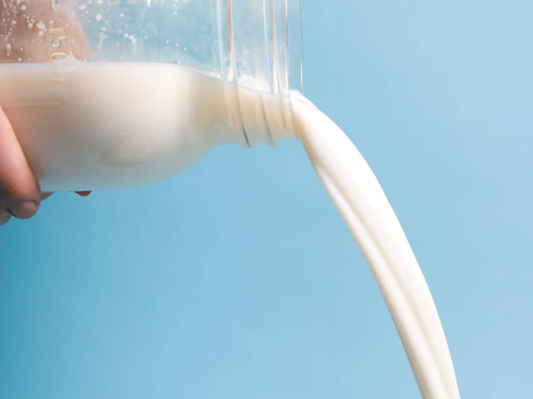 273.eat.rawMilk.open.jpg