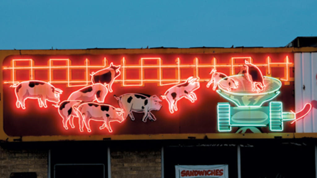 Chicagoland's amazing neon signs