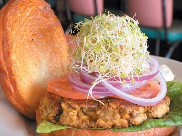 300.eat.feed.saucer3.jpg 300.eat.feed.saucer3.jpg