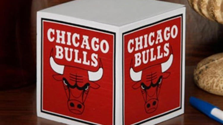 Chicago Bulls Logo Type Die-cut MAGNET