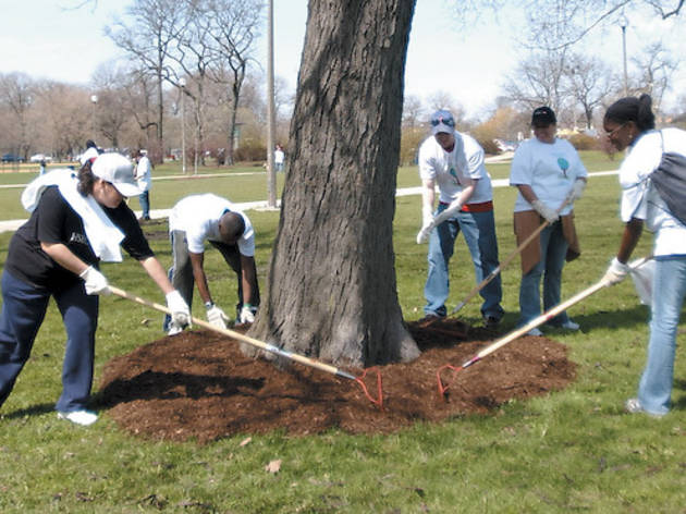 ParkClean-up ParkClean-up