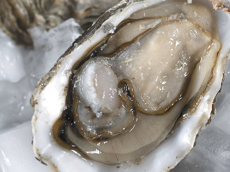 324.re.eo.fe.oysters.JPG