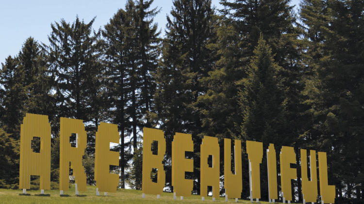 Photograph: Morton Arboretum