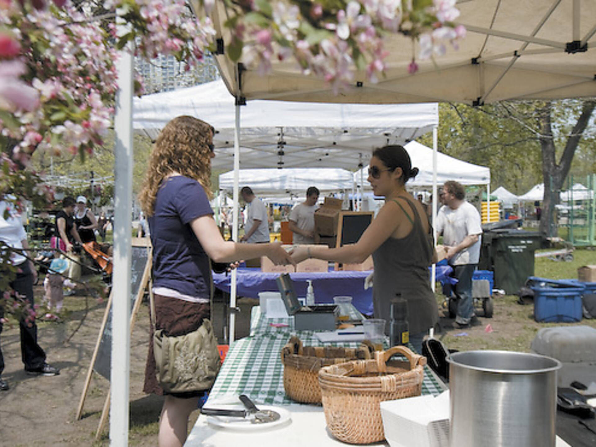 How To Compost in Chicago 5 Easy Ways To Get Started
