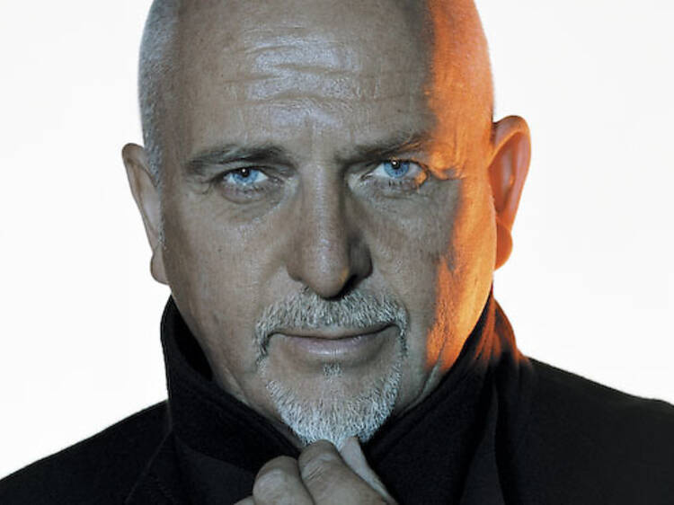 329.mu.mu.pv.petergabriel.jpg