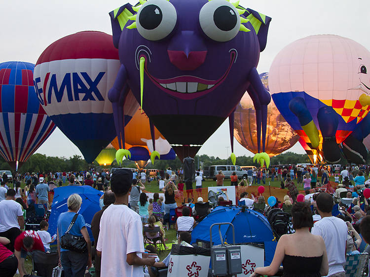 Eyes to the Skies Festival