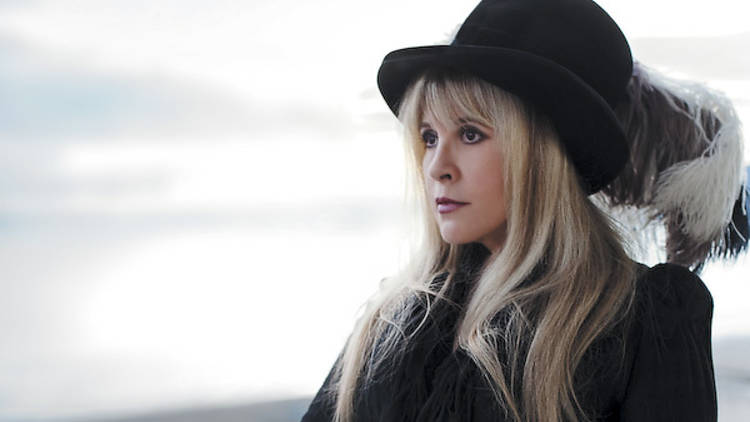 Stevie Nicks