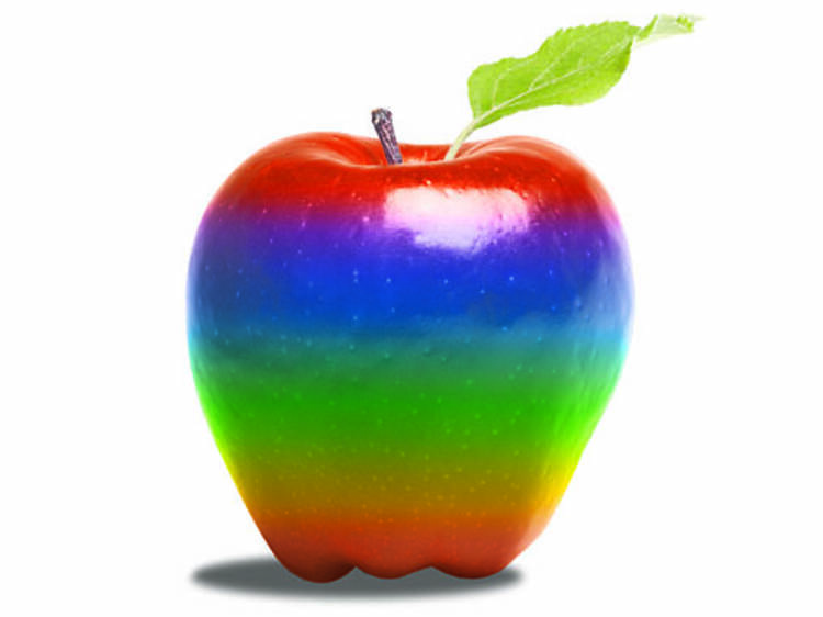 341.ga.ga.op.QueerTeachers.jpg