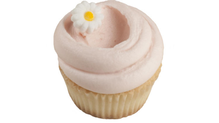 343.rb.eo.cupcakes.magnolia.jpg