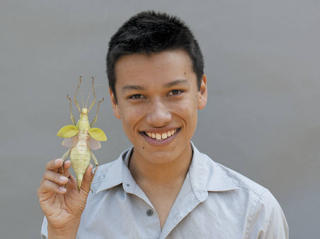 344.ac.ft.insects.MatthewKrisiloff2.jpg 344.ac.ft.insects.MatthewKrisiloff2.jpg