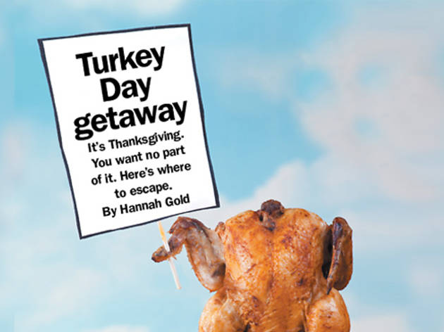 352.fd.turkeypageFINAL.jpg 352.fd.turkeypageFINAL.jpg
