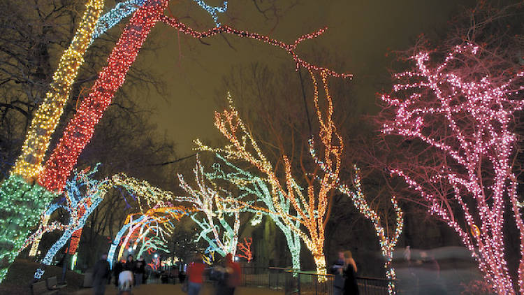 355.ac.ft.holidayoutings.ZooLights2.jpg