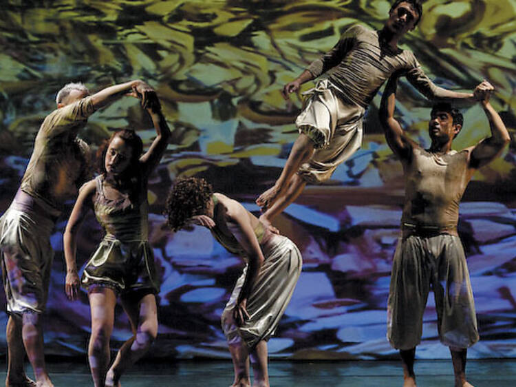 363.da.da.op.MargaretJenkinsDanceCompany.jpg