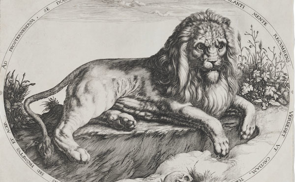 Prints + Pursuit of Knowledge in Early Modern Europe | Block Museum