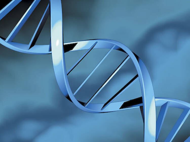 dna
