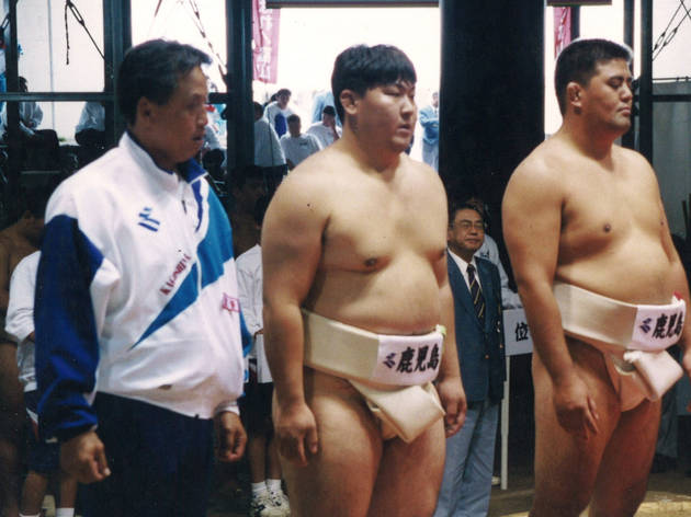 sumo sumo