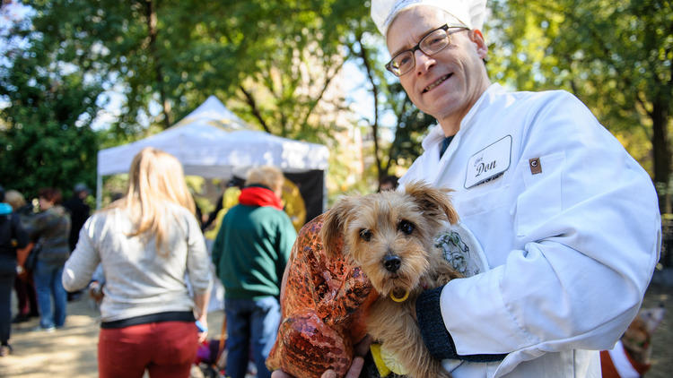 PHOTOS: Canine Promenade 2013 - 3rd Annual Dog Costume Contest and