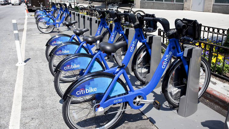 Citi Bikes are everywhere