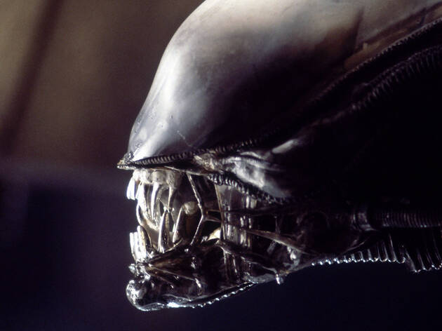 Alien Alien