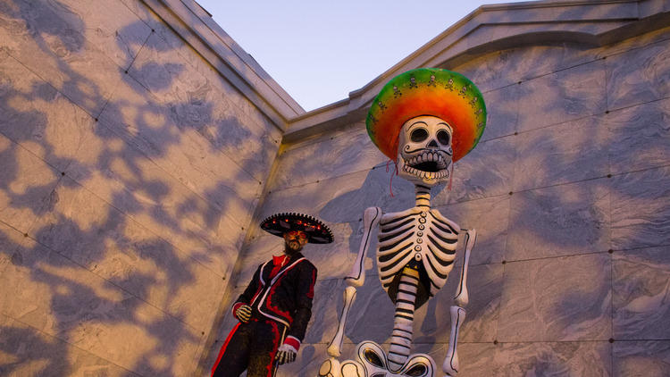 Día de los Muertos skull installation coming to Discovery Green in October  - ABC13 Houston