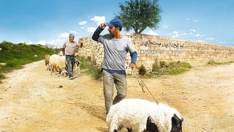 Un cerdo en Gaza