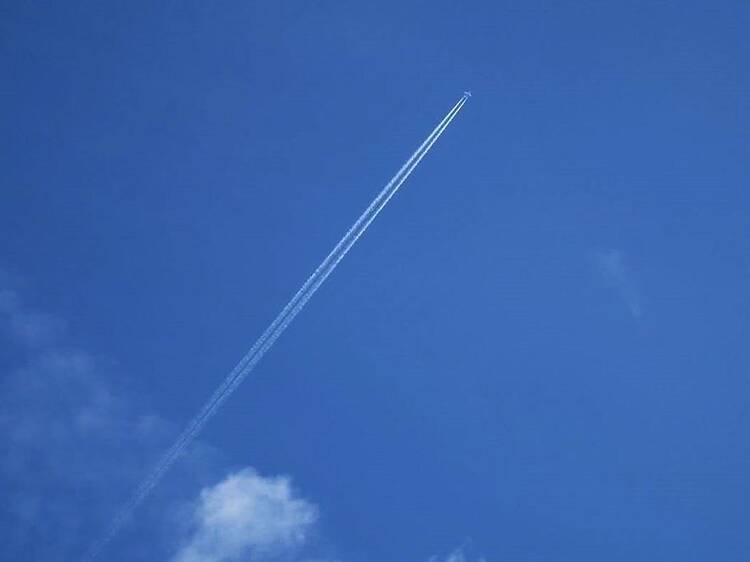 Fear of Flying: Caught on Camera