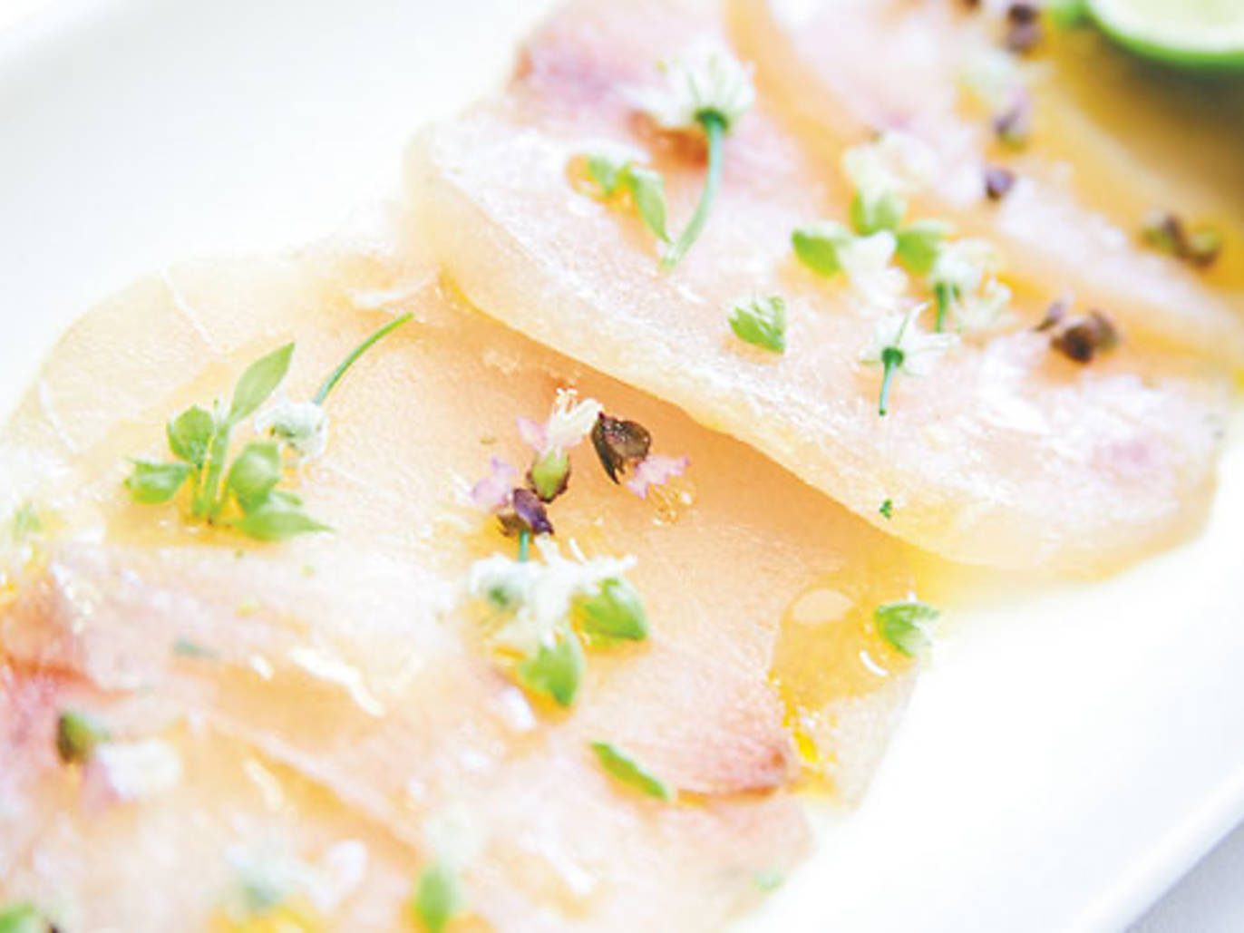 23 Best Restaurants in Mexico City