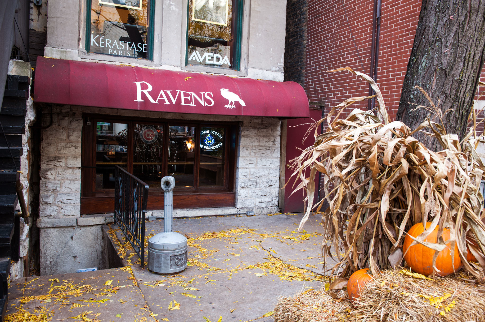 Chicago bars A guide to Chicago's 4am bars
