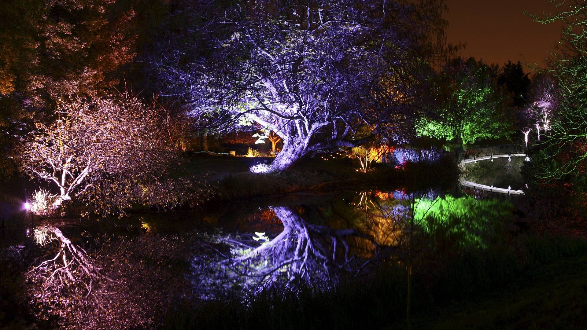 Syon Park’s Enchanted Woodland | Things to do in London