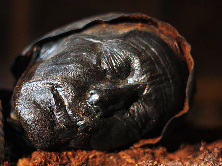 4000 Year Old Cold Case: The Body in the Bog 4000 Year Old Cold Case: The Body in the Bog