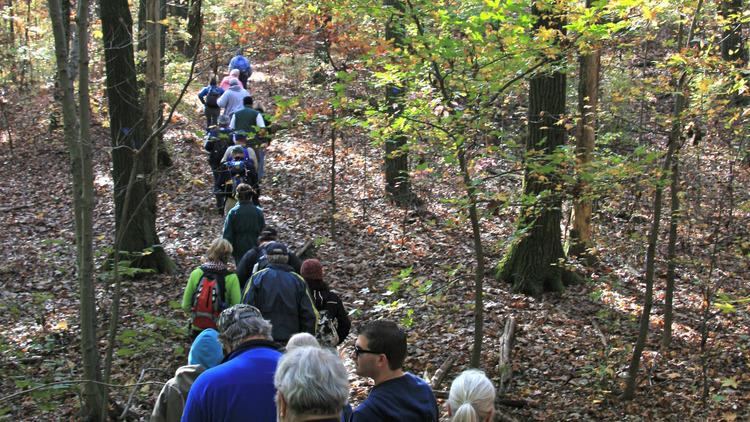 10th Annual After Thanksgiving Hike in the Greenbelt