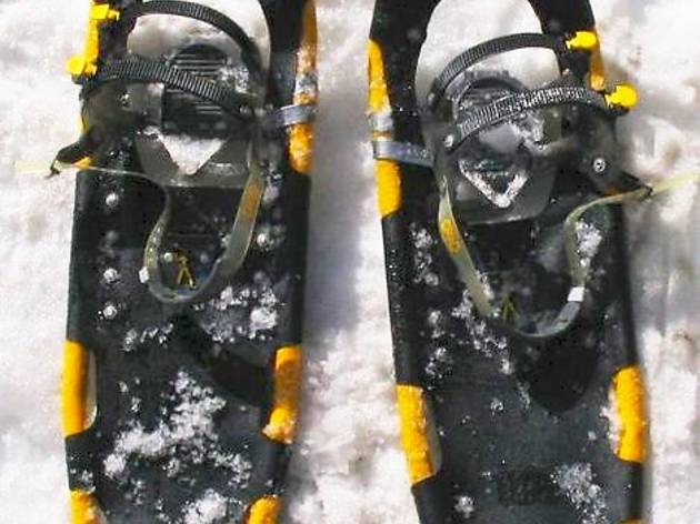 Raquetes de neu Raquetes de neu