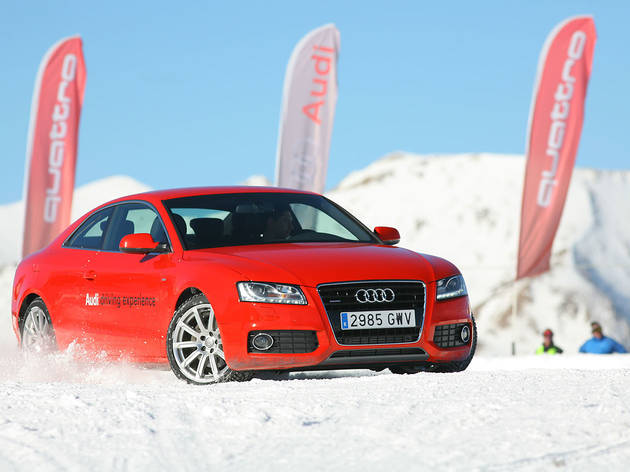 audi audi