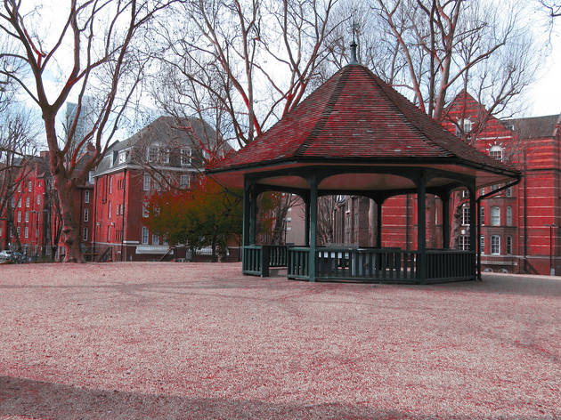 Arnold Circus Arnold Circus