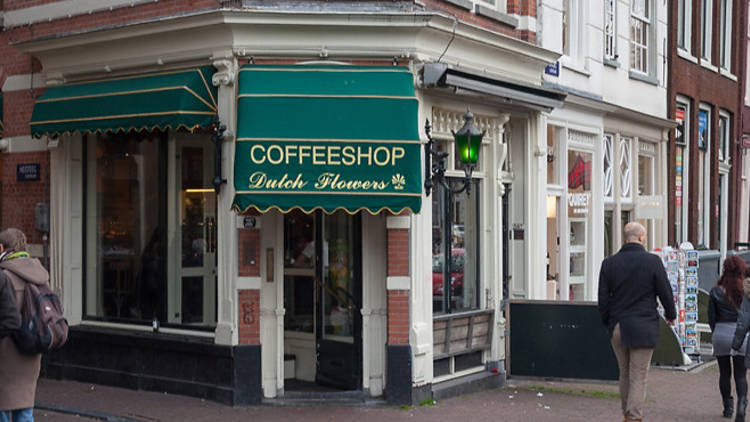 Dutch Flowers, Coffeeshops, Amsterdam