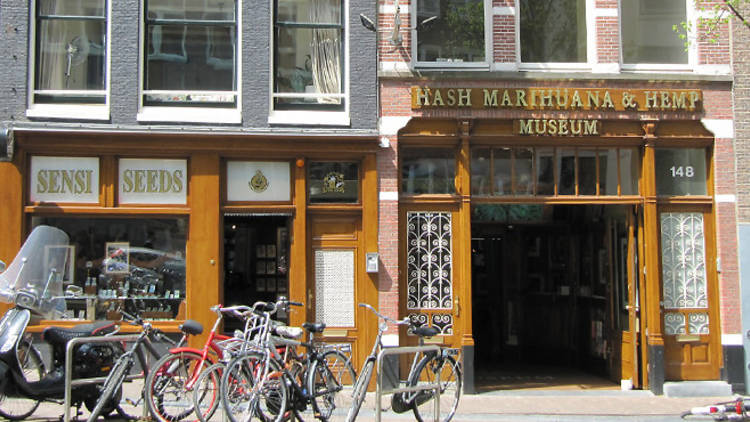 Hash Marihuana & Hemp Museum, Nightlife, Amsterdam