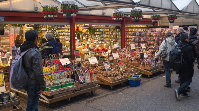 Bloemenmarkt (Flower Market) | Shopping in Amsterdam